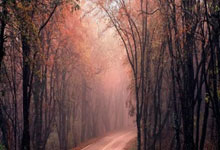 中国男篮世界杯预选赛赛程如何安排？球迷观赛指南来了！